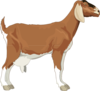 Brown Goat Clip Art